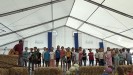 IMG 2381